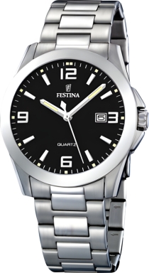 Часы Festina Classics F16376/4