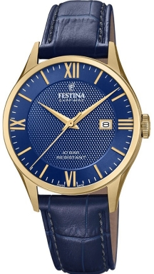Часы Festina Swiss Made F20010/3