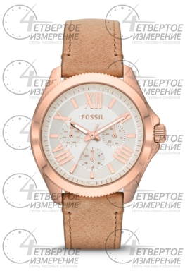 Fossil Cecile 4